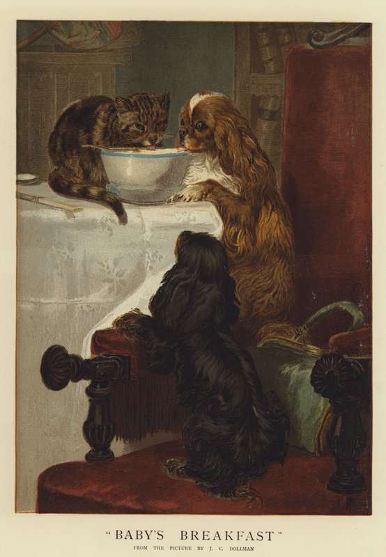 Baba reggeli (chromolitho) alkotó: John Charles Dollman