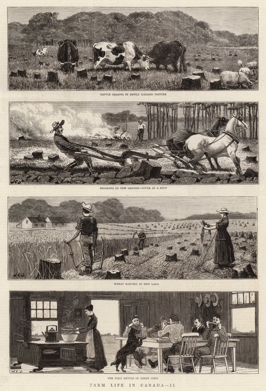 Farm Life in Canada, II alkotó: John Charles Dollman