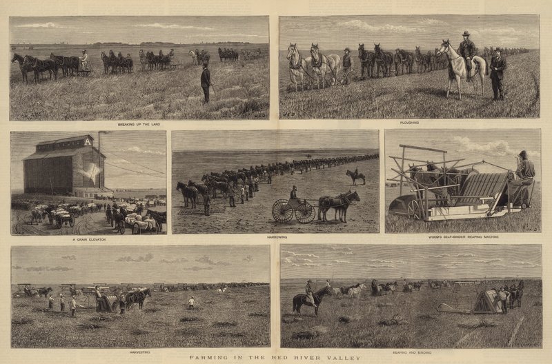 Gazdálkodás a Vörös-folyó völgyében alkotó: John Charles Dollman