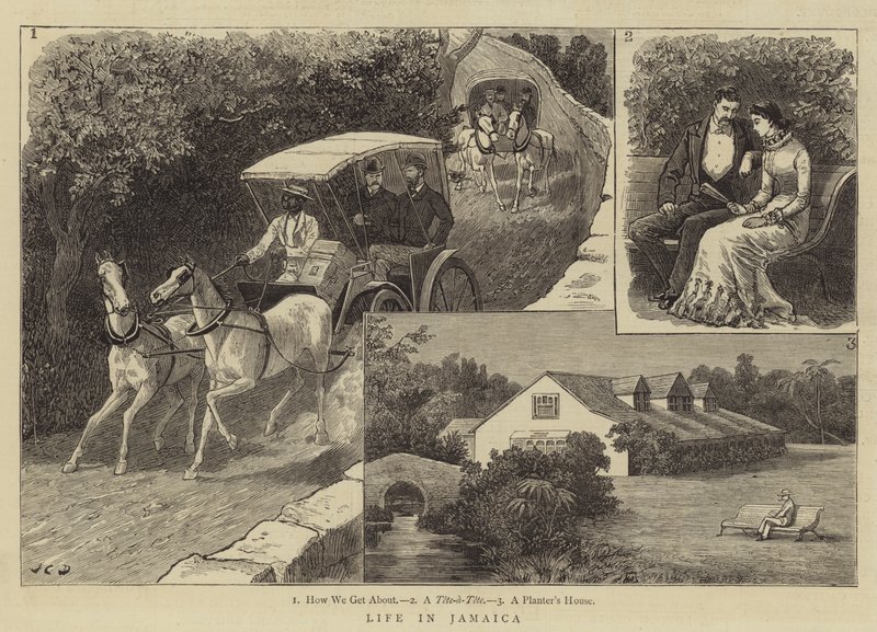 Élet Jamaikában alkotó: John Charles Dollman