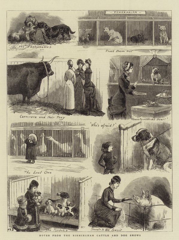 Jegyzetek a birminghami szarvasmarha- és kutyakiállításról alkotó: John Charles Dollman