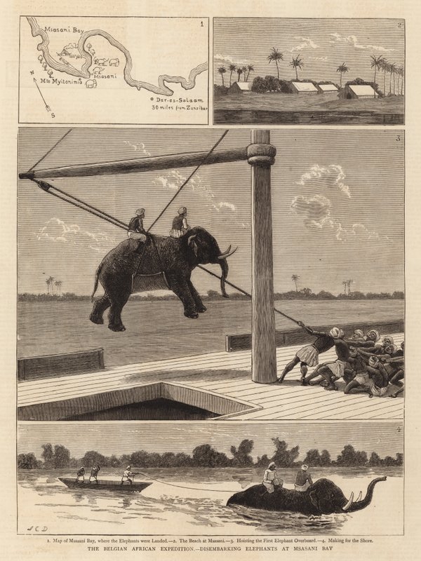 A belga afrikai expedíció, az elefántok partraszállása a Msasani-öbölben alkotó: John Charles Dollman