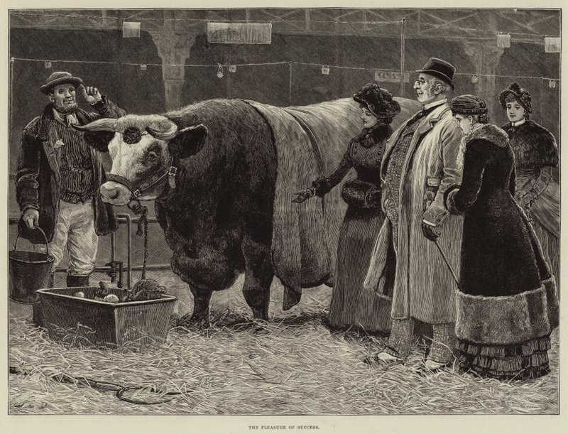 A siker öröme alkotó: John Charles Dollman