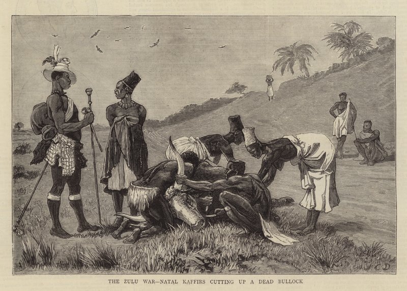 A zulu háború, Natal Kaffirs feldarabolt egy Dead Bullockot alkotó: John Charles Dollman