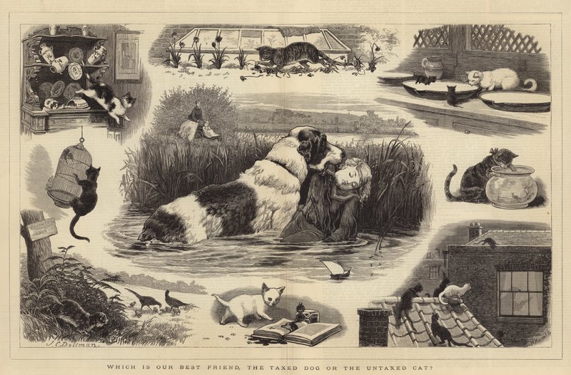 Melyik a legjobb barátunk, az adózott kutya vagy az adózatlan macska? alkotó: John Charles Dollman