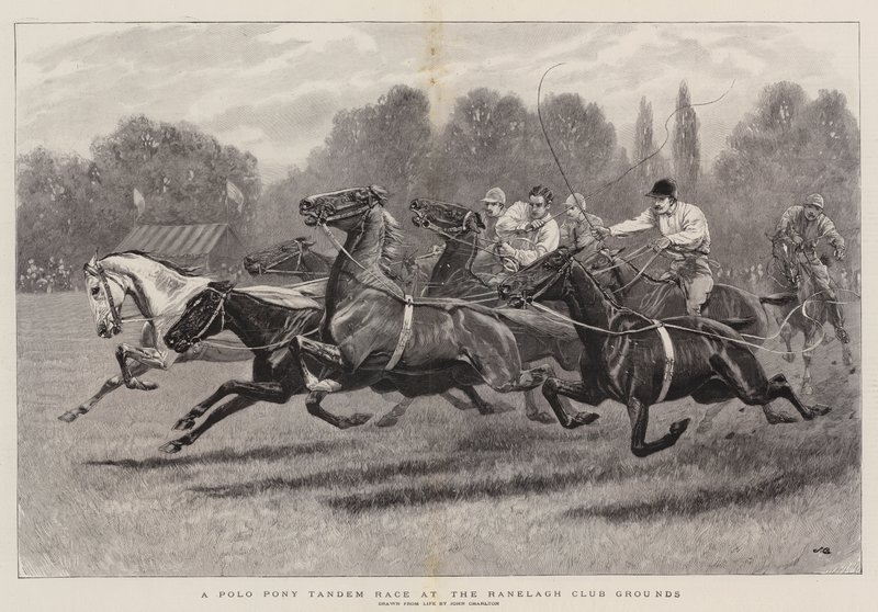 Polo Pony Tandem Verseny a Ranelagh Club területén alkotó: John Charlton