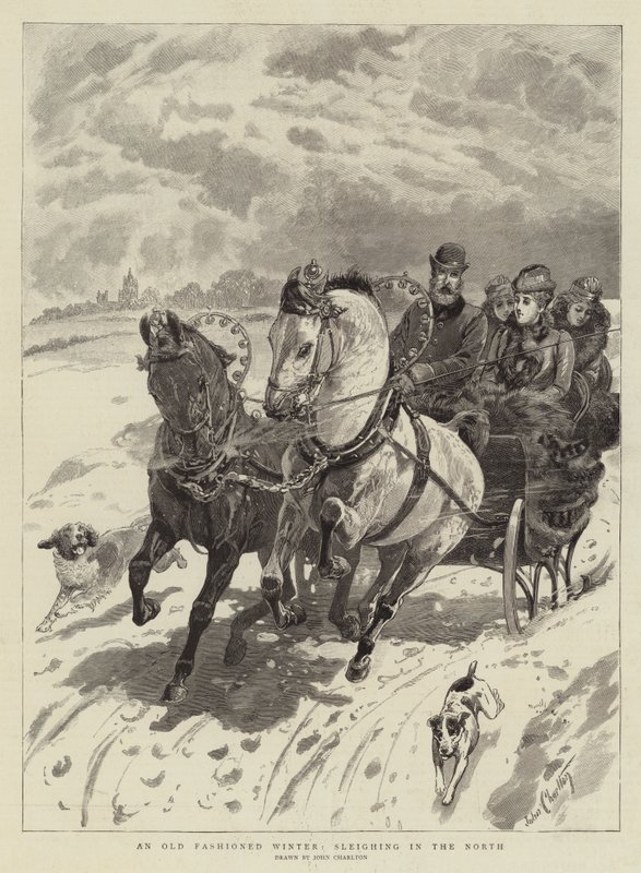 Egy régimódi tél, szánkózás északon alkotó: John Charlton