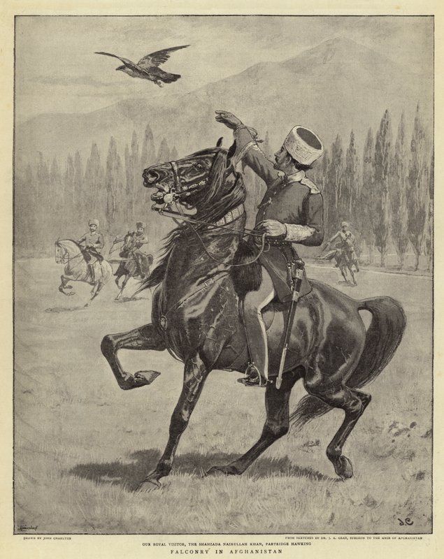 Solymászat Afganisztánban alkotó: John Charlton