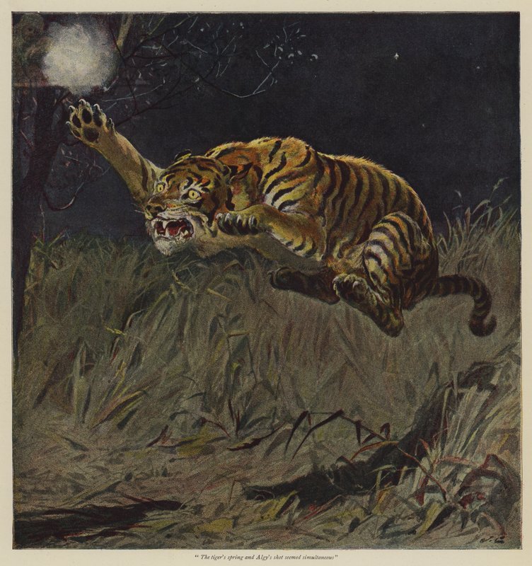 Illusztráció szabad akaratú felajánláshoz, B M Corker alkotó: John Charlton