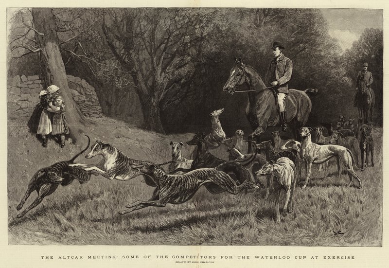 Az Altcar Meeting, néhány versenyző a Waterloo Kupáért az edzésen alkotó: John Charlton