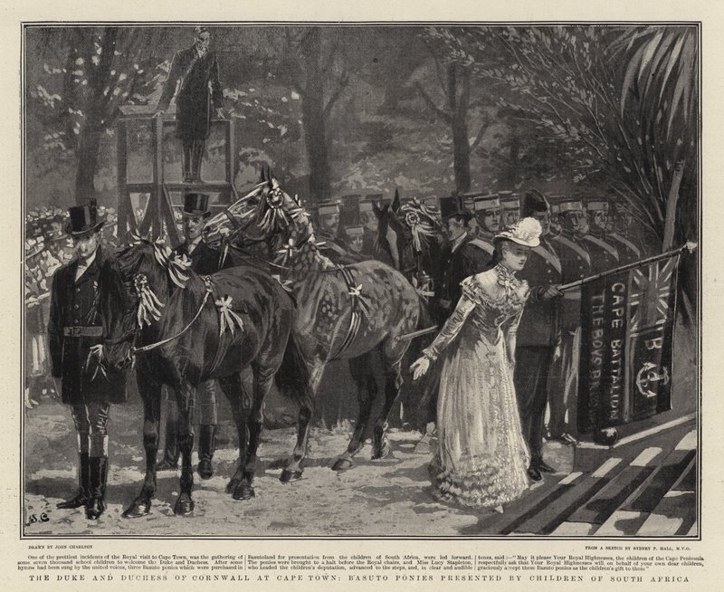 Cornwall hercege és hercegnője Fokvárosban, a Basuto Ponies, amelyet Dél-Afrika gyermekei mutatnak be alkotó: John Charlton
