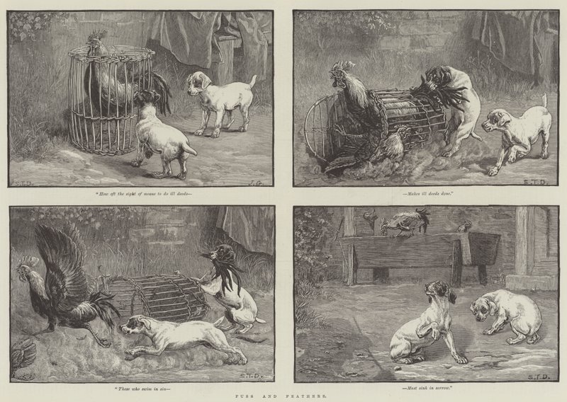 Fuss és tollak alkotó: John Gilbert
