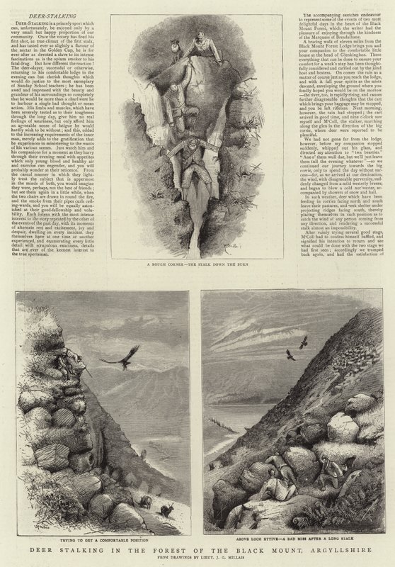 Szarvas les a Black Mount erdőjében, Argyllshire alkotó: John Guille Millais