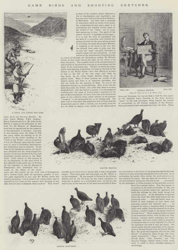 Vadmadarak és lövészet vázlatok alkotó: John Guille Millais