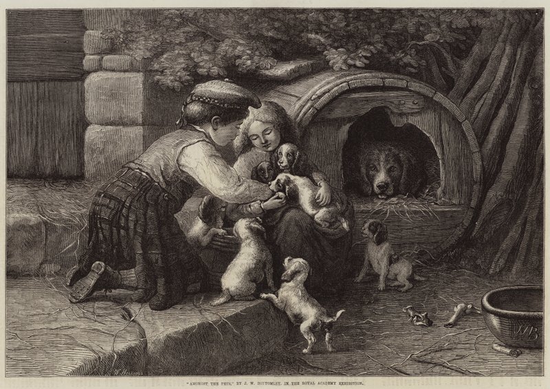 A házi kedvencek között alkotó: John William Bottomley