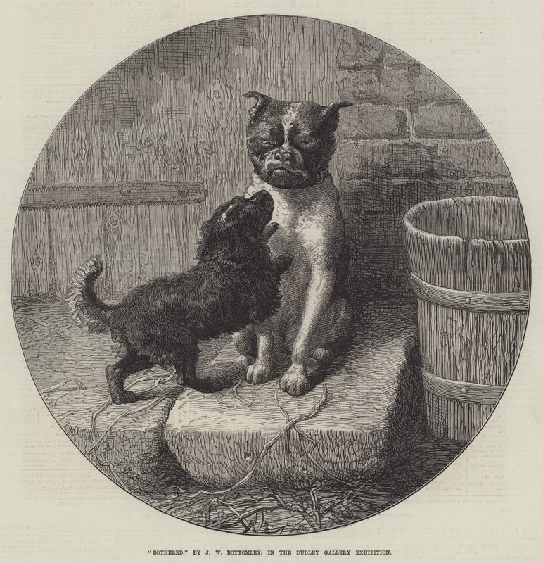 Zavart alkotó: John William Bottomley