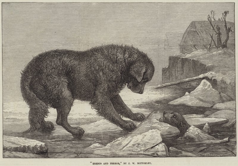 Erebus és a terror alkotó: John William Bottomley