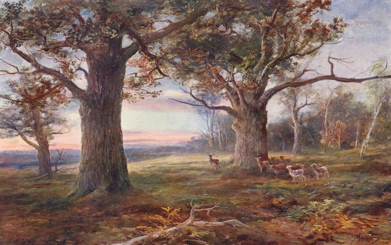 A Sherwood-erdő szélén (színes litográfia) alkotó: John (after) MacWhirter