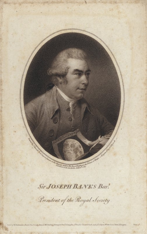 Sir Joseph Banks, angol természettudós, botanikus és a Royal Society elnöke (metszet) alkotó: John (after) Russell