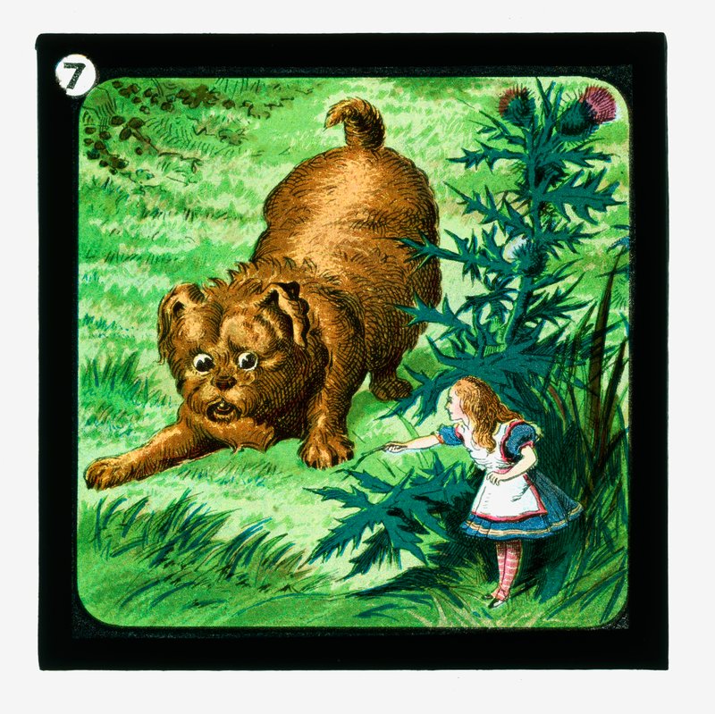 Alice Csodaországban, színes lámpás csúszdák (lámpás csúszda) alkotó: John (after) Tenniel