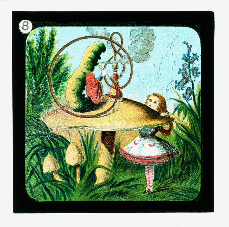 Alice Csodaországban, színes lámpás csúszdák (lámpás csúszda) alkotó: John (after) Tenniel