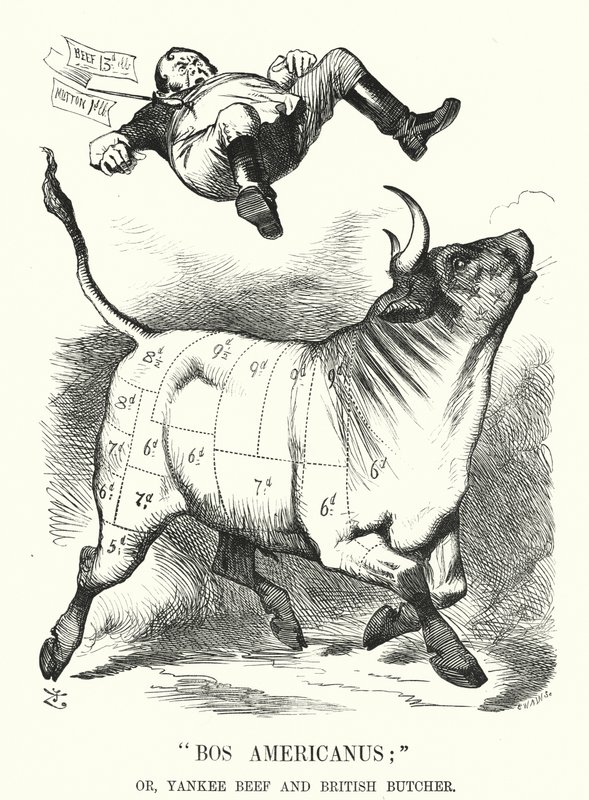 Punch rajzfilm: Bos Americanus; vagy, Yankee Beef és British Butcher – várható előnyök az amerikai húsimport fogyasztói számára (gravírozás) alkotó: John (after) Tenniel