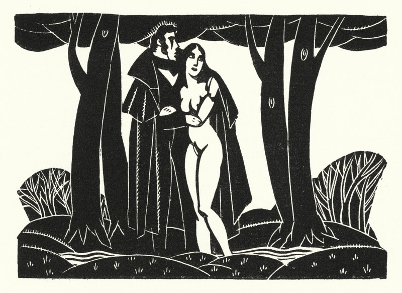 Illusztráció: Madame Bovary, Gustave Flaubert (litho) alkotó: John Austen
