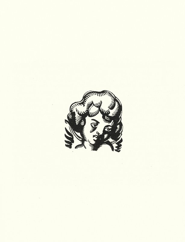 Illusztráció: Madame Bovary, Gustave Flaubert (litho) alkotó: John Austen