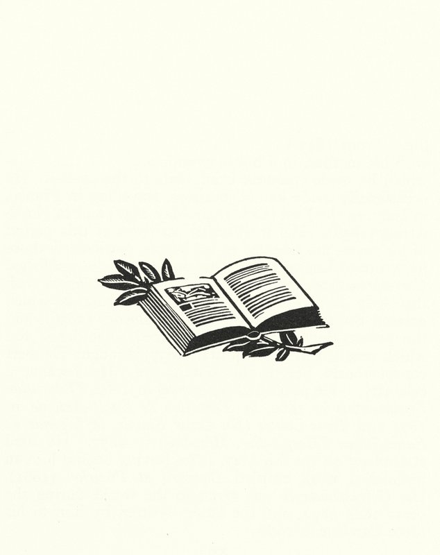 Illusztráció: Madame Bovary, Gustave Flaubert (litho) alkotó: John Austen
