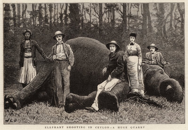 Elefántlövés Ceylonban, egy hatalmas kőbányában alkotó: John Charles Dollman