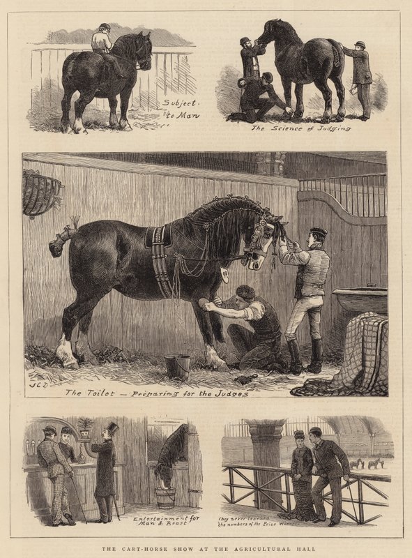 A szekér-lovas bemutató a mezőgazdasági csarnokban alkotó: John Charles Dollman