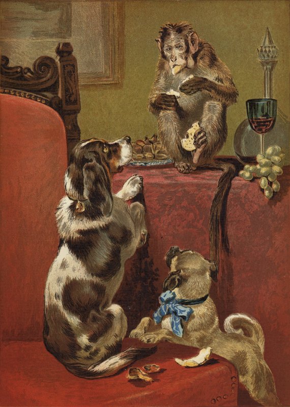 A kapzsi majom alkotó: John Charles Dollman