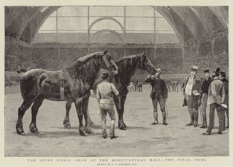 A Shire Horse Show a mezőgazdasági csarnokban, a döntő párbaj alkotó: John Charles Dollman