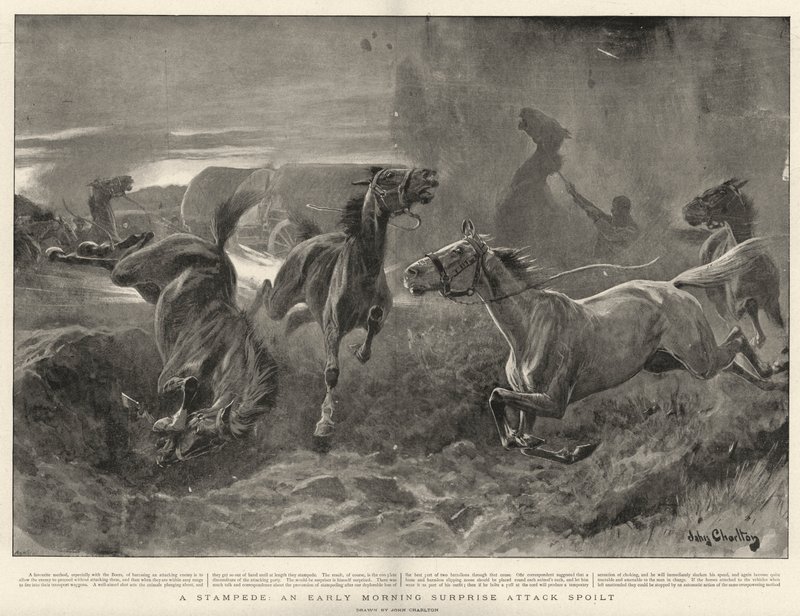 A Stampede, egy kora reggeli meglepetés-támadás elrontott alkotó: John Charlton