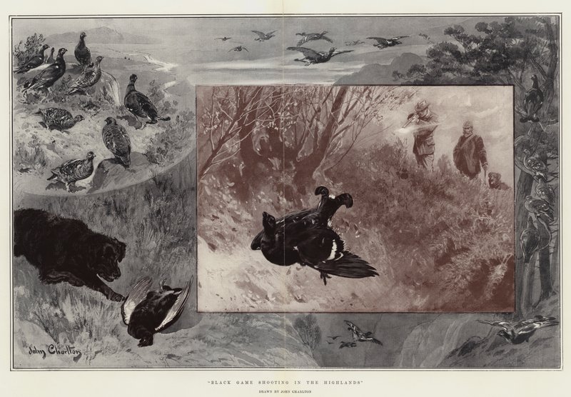 Black Game Shooting in the Highlands alkotó: John Charlton
