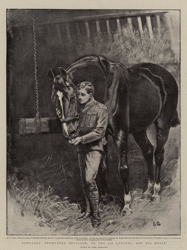 Elvtársak, Shurlock trombitás, az 5. Lancers és a lova alkotó: John Charlton