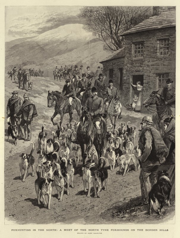 Rókavadászat északon, a North Tyne-i rókakutyák találkozása a Border Hillsben alkotó: John Charlton