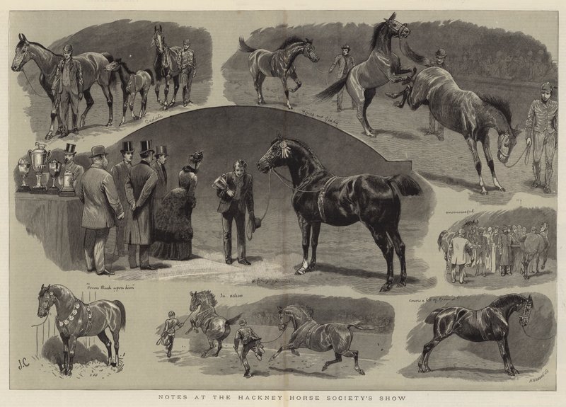 Megjegyzések a Hackney Horse Society kiállításán alkotó: John Charlton