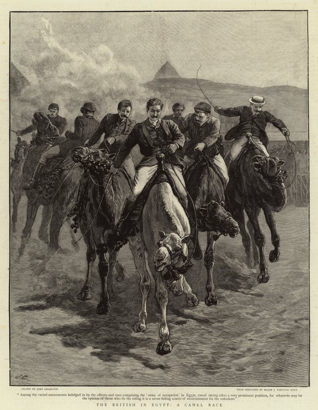 A britek Egyiptomban, A teveverseny alkotó: John Charlton