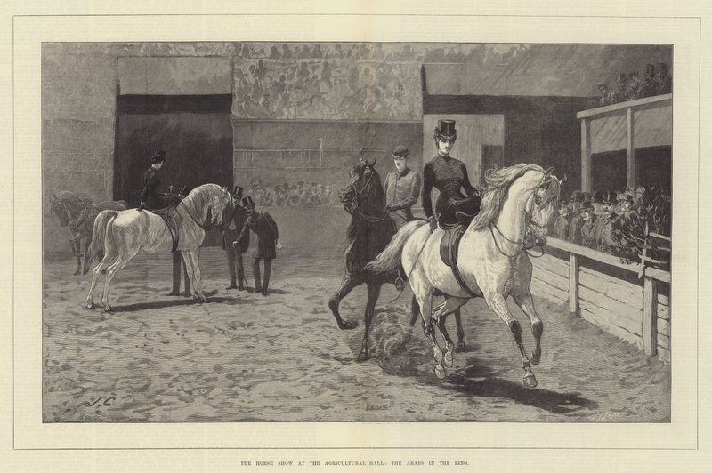 A Horse Show a mezőgazdasági csarnokban, az arabok a ringben alkotó: John Charlton