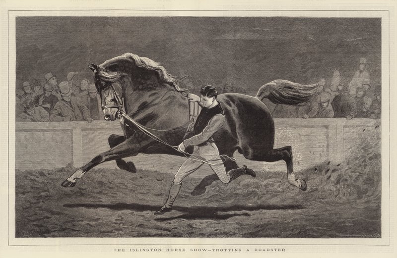 Az Islington Horse Show, ügető roadsterrel alkotó: John Charlton