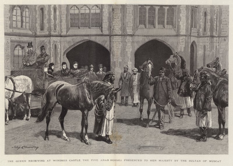 A királynő a windsori kastélyban átveszi az öt arab lovat, amelyet Muscat szultána ajándékozott Őfelségének alkotó: John Charlton