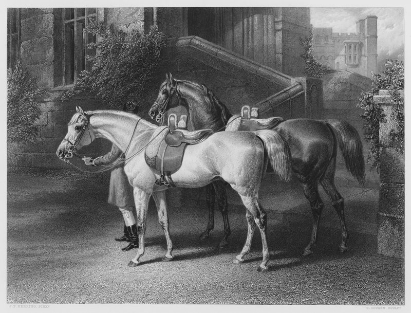 A királynő lovai, a képről a Királyi Gyűjteményben (metszet) alkotó: John Frederick Jr. Herring