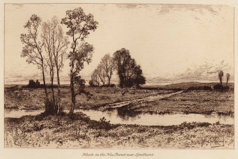 Heath a New Forestben, Lyndhurst közelében (metszet) alkotó: John Fullwood