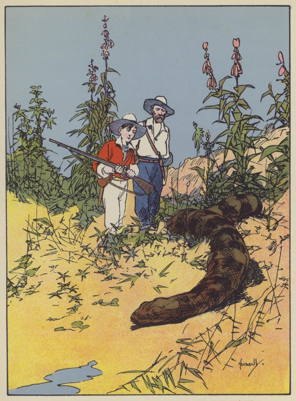 Illusztráció a svájci Robinson családhoz (színes litó) alkotó: John Hassall