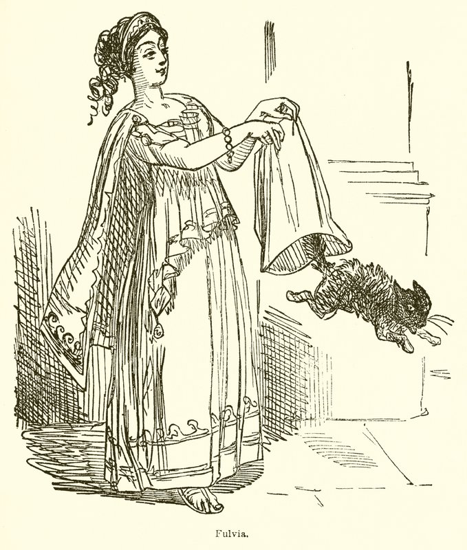 Fulvia alkotó: John Leech