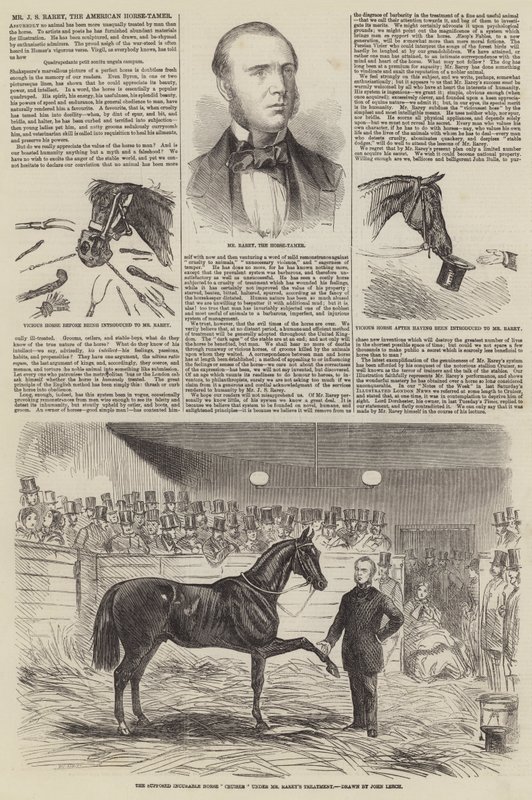 J S Rarey úr, az amerikai lószelídítő alkotó: John Leech