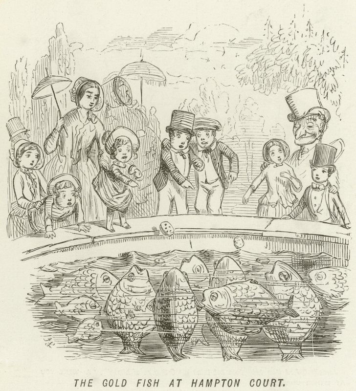 Az aranyhal a Hampton Courtban alkotó: John Leech