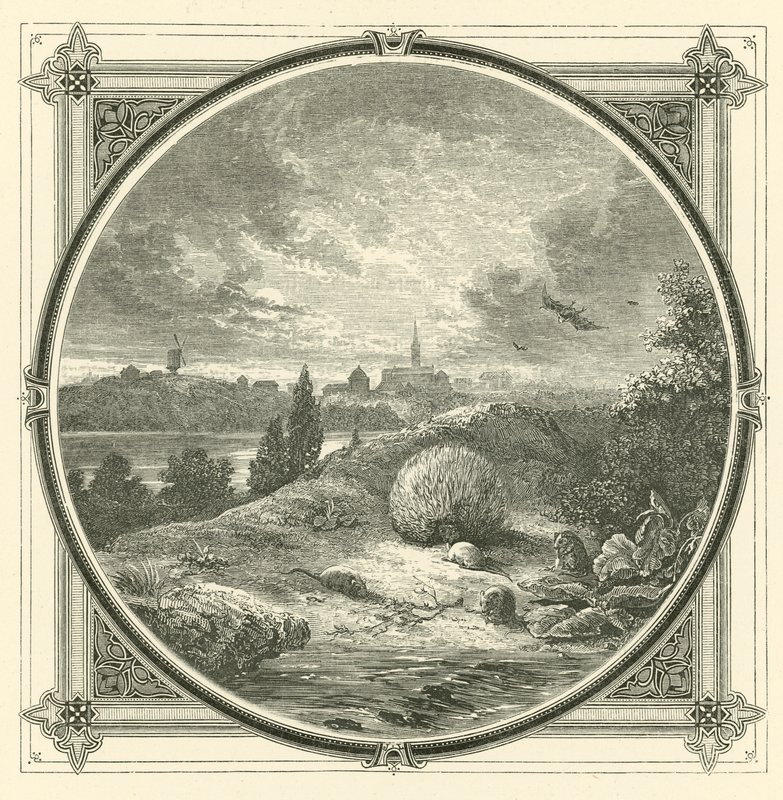Játssz, de szelíden (metszet) alkotó: John Leighton