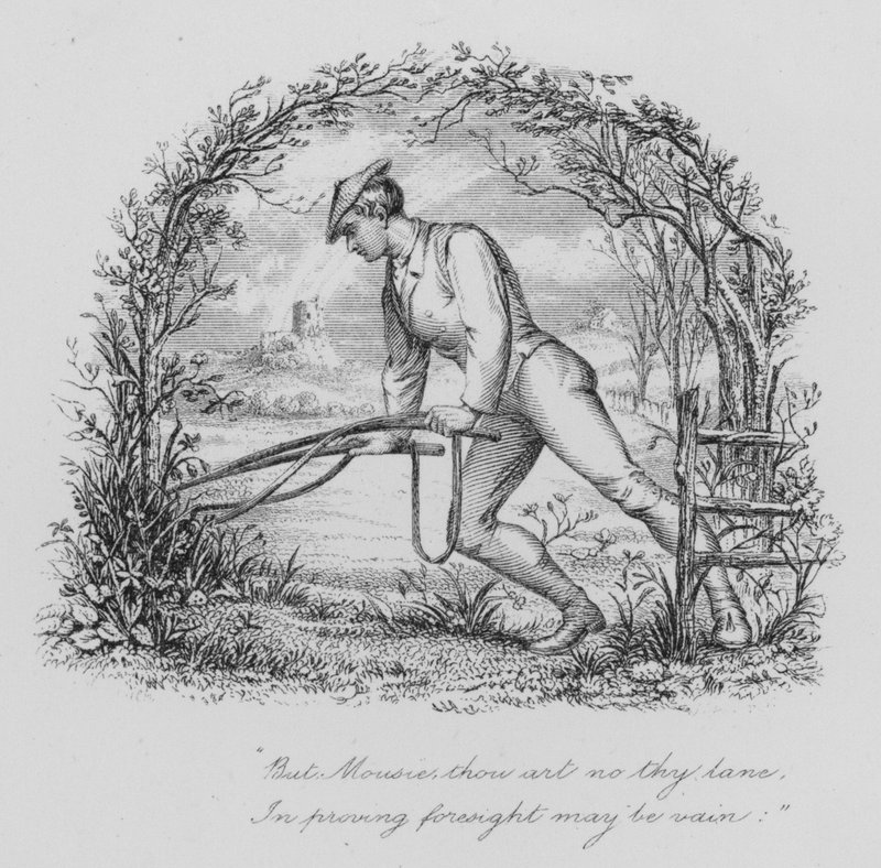 Robert Burns: Egy egérhez (metszet) alkotó: John Moyr (attr.to) Smith